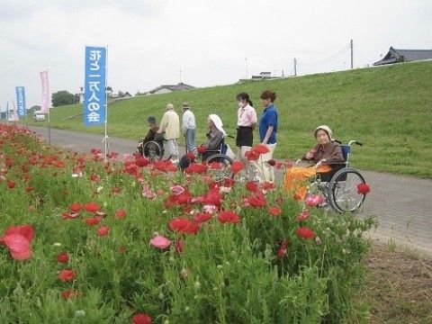 秋のコスモス畑に散歩に来ているスタッフとご入居者様
