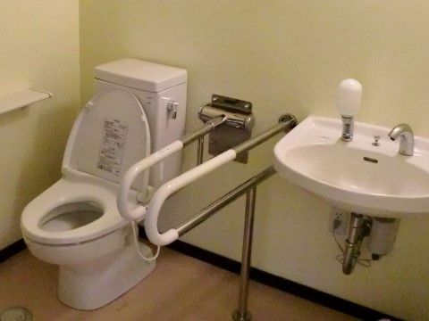 洗面台付きトイレである。洗面台の隣にはしっかり下に固定された手すりがある。トイレの隣には可動式手すりが設置され安全である。
