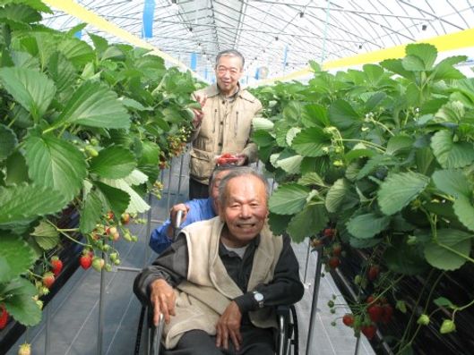 レクリエーション