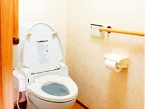 白色の温水洗浄便座が備え付けられている。壁にトイレットペーパーホルダー、リモコン、手すりが設置されている。