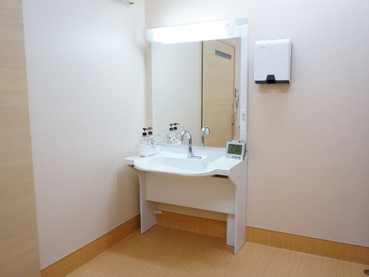 十分なスペースのある手洗い場