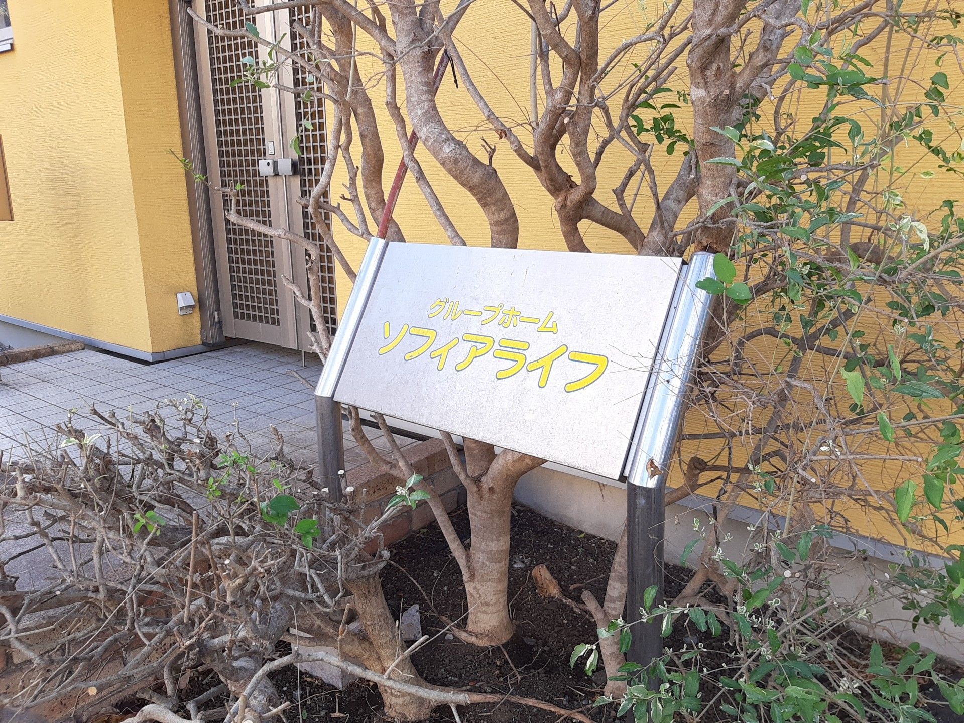 ソフトラインの看板