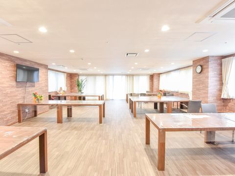 開口部となる大きな窓が外に面する壁のほとんどを占めているため、広い室内にも非常に多くの太陽光が取り込まれている。