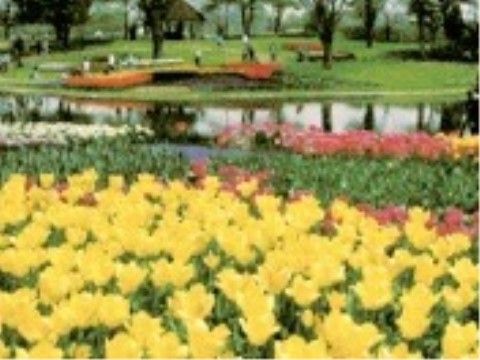 施設の近くには、季節の花が咲き乱れている自然豊かな公園がある。天気の良い温かい日には、散策に出かけてリフレッシュができる。