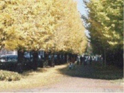 施設近辺は、自然溢れる環境である。天候に恵まれた日に最適な日向ぼっこや散歩を楽しめるスポットが数多くある。