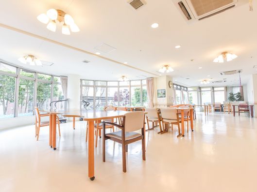 多くの窓から光が差し込むリビング