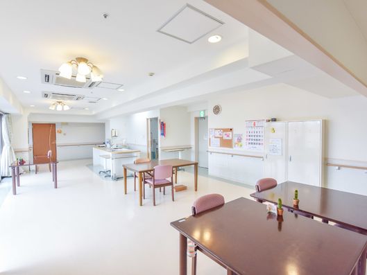 植物が置かれたテーブル