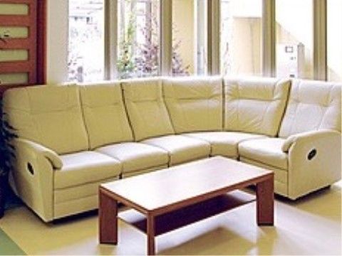 窓から植込みが見える、白色のL字型ソファーが置かれた部屋