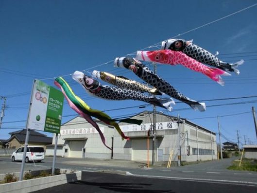 こいのぼり
