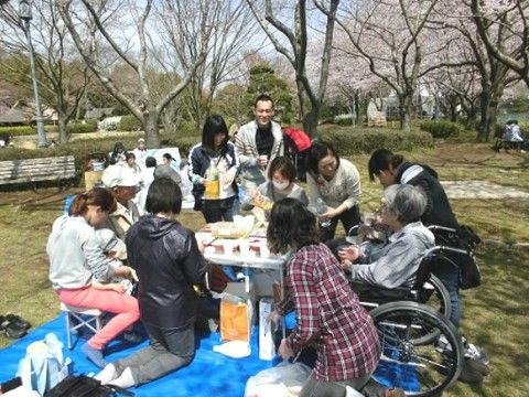 桜が満開を迎えている公園の緑地で、お花見を楽しむ沢山の人達