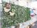 建物は白いフェンスで囲われている。花の咲いた植物がフェンスにかかっており。周辺は緑でおおわれている。