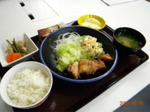多くの野菜を添えた肉料理をメインに、煮物などを付けた和風の食事