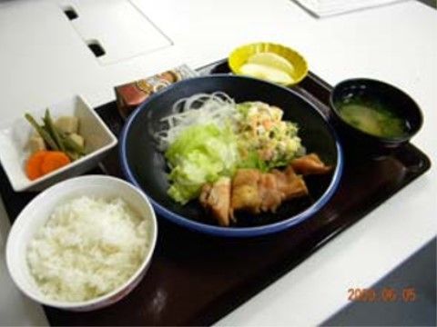 大き目の皿にサラダと肉料理を盛り付けた料理が主菜の食事