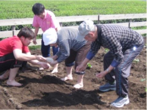 畝立てされた耕作地で、動きやすい格好で協力して種まきを行う人々