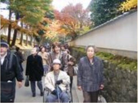 紅葉を楽しみながら、石垣と白壁が並ぶ道をそぞろ歩く人々