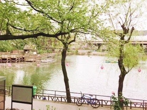 公園内には大きな池があり、木々が生い茂っている。周囲には散歩道があり、気分転換しに出かけることができる。