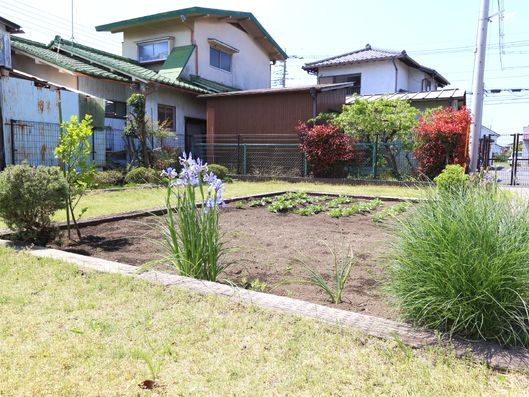 庭の一角にある畑。