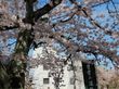 ニングルの森北白川の写真