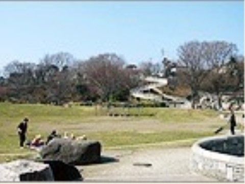 広い草原が広がる公園。蛇行した坂道が散歩コースとなっている。