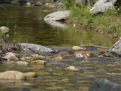 川のせせらぎから全身で自然を感じる事ができ、心身共にリフレッシュできる。水が澄んでいるので、季節による変化も楽しめる。