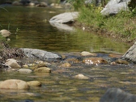 施設の近くには河川敷があり、日常的に自然と触れ合うことができる。入居者様の暮らしに潤いを与えている。