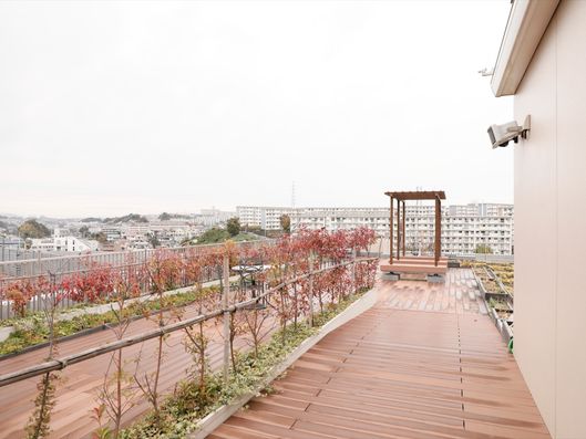 屋上