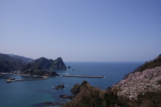 海と桜の景色