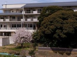 桜の木と建物の外観