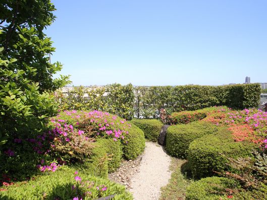 屋上庭園