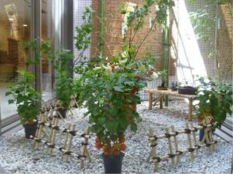 白い石が敷かれ、背景にのれんがあり、竹垣や縁台が置かれている。ホオズキの鉢植えも併せて、和風の飾りつけがされている。