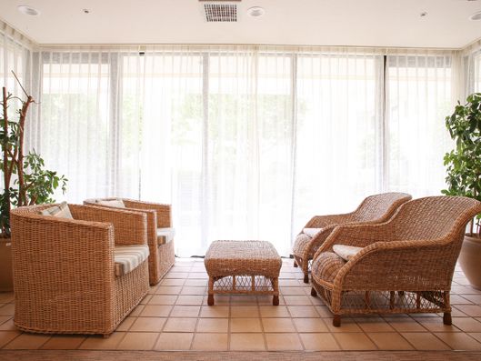 観葉植物が気分を和ませる