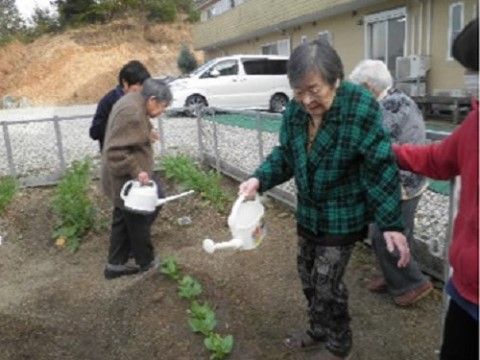 施設に設置されている畑では、入居者様が野菜の苗に水を与えている。お世話にしながら成長過程を観察することができる。