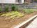 庭では植栽の他に、入居者様とスタッフが一緒に育てる菜園がある。収穫時には毎日の食事のメニューなどに取り入れている。