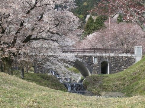 石造りの橋の周りに、満開の桜がたくさん植えられている。橋の下には石の段に水が流れ、両岸の土手は草原になっている。