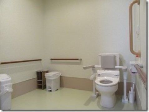 広々としたスペースのトイレは手すりが多く移動が安全である。便座の両脇にも手すりがあるので、立ち座りのサポートになる。