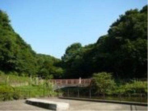 施設の近くには大きな公園がある。散歩を楽しむことができ、自然に触れながらリフレッシュすることができる。