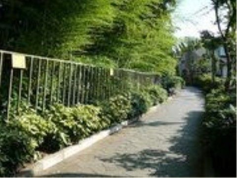 大きな公園がある。公園までは遊歩道になっているので、自然に触れながら散策を楽しむことができる。緑の中でリフレッシュできる。