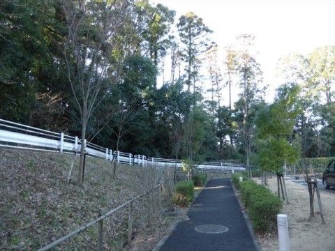 施設の敷地は広々としており、緑が多くゆったり過ごすことができる環境である。風を感じながら気分転換をすることができる。