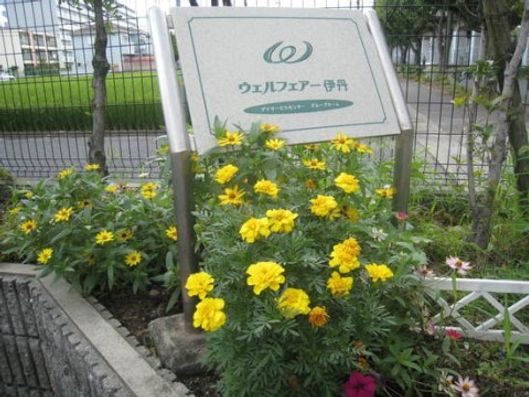 花壇