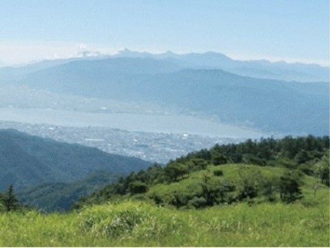 緑に囲まれた自然の中で、晴れた日によく景色が見通せる場所