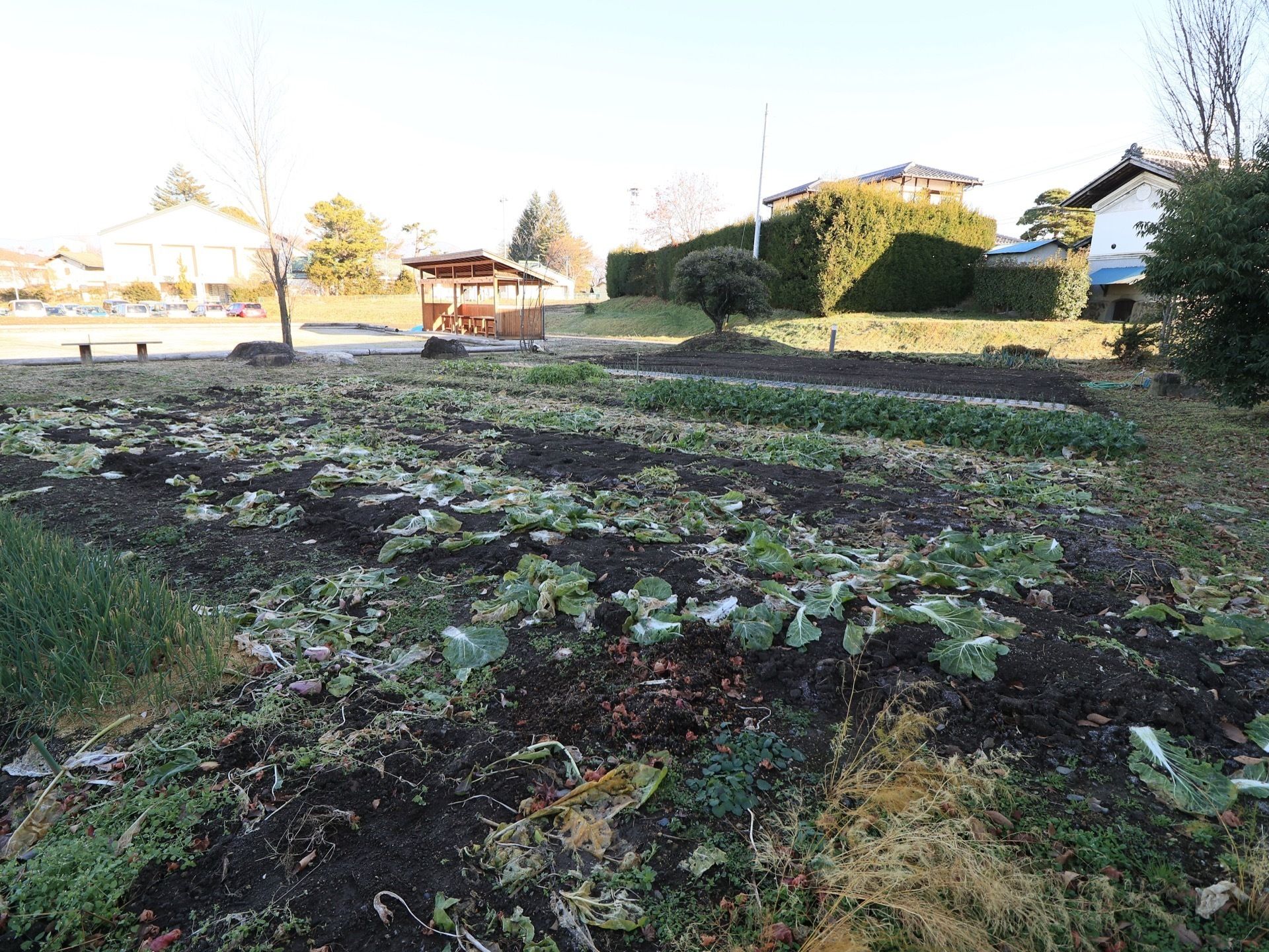 施設の敷地内に広い菜園が設けられており、数種類の野菜が植えられている。東屋やベンチが設置されている。
