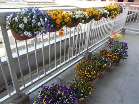 外の気持ちのいい風を感じていただきながら、プランターに咲いている花々を見て楽しんでいただける場所となっている。