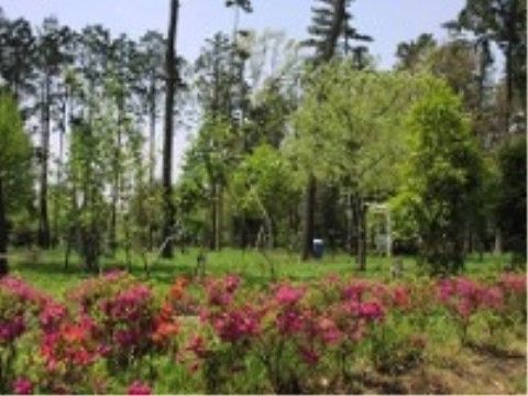 施設のすぐ近くにある自然公園は、季節の花が咲く自然豊かな空間である。入居者様は心身ともにリフレッシュすることがすることができる。