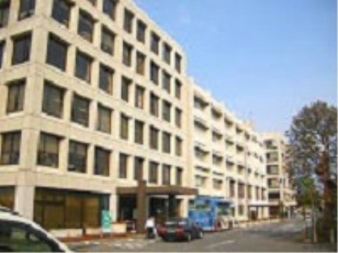 白色の大きな市役所である。バス停が建物の玄関前にある。行政の手続きなどで訪れる際にも便利な、公共交通機関が充実している。
