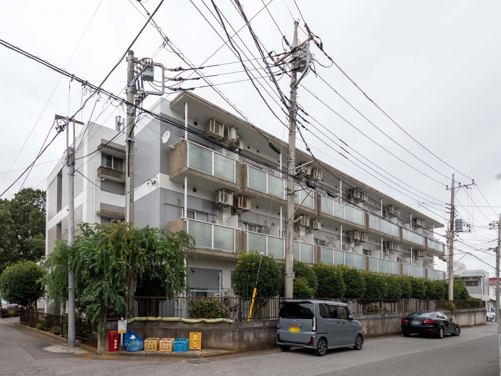 緑に囲まれた建物外観