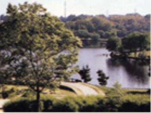 自然豊かな山田池公園。