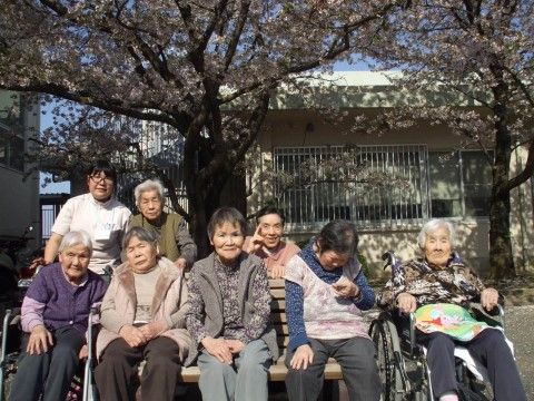桜の木の下でベンチや車椅子に座って笑顔を見せている入居者様とスタッフ