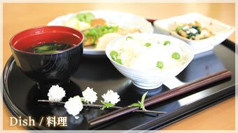 彩りや盛り付けに工夫を加えたお食事