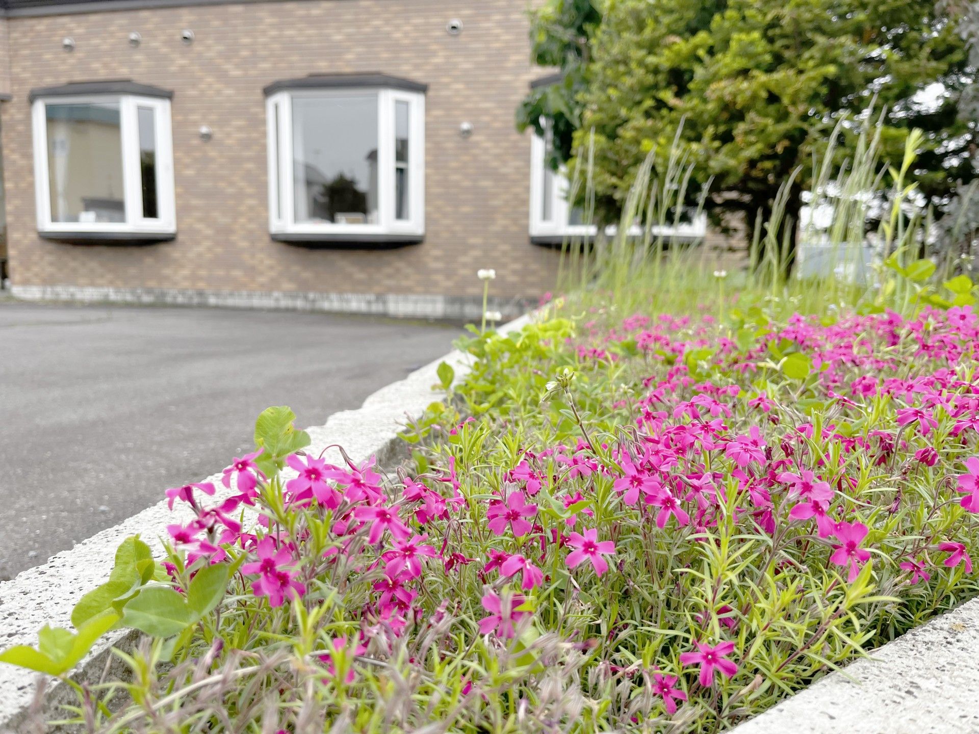 花壇と建物の外観
