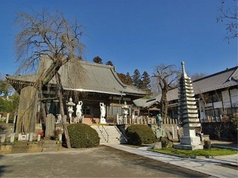 敬老園ロイヤルヴィラ大網白里の周辺環境。神社など、落ち着いた環境もございます。日々のお散歩にてご利用いただけます。